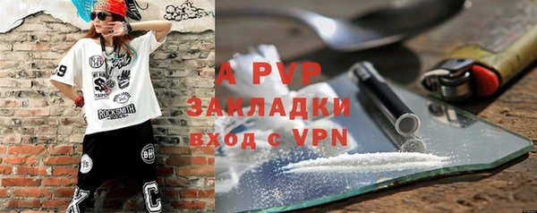 хмурый Каменка
