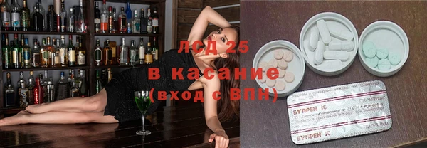 хмурый Каменка