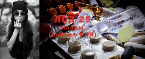 хмурый Каменка
