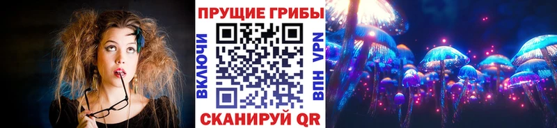 Галлюциногенные грибы GOLDEN TEACHER  Купить где  Зерноград 